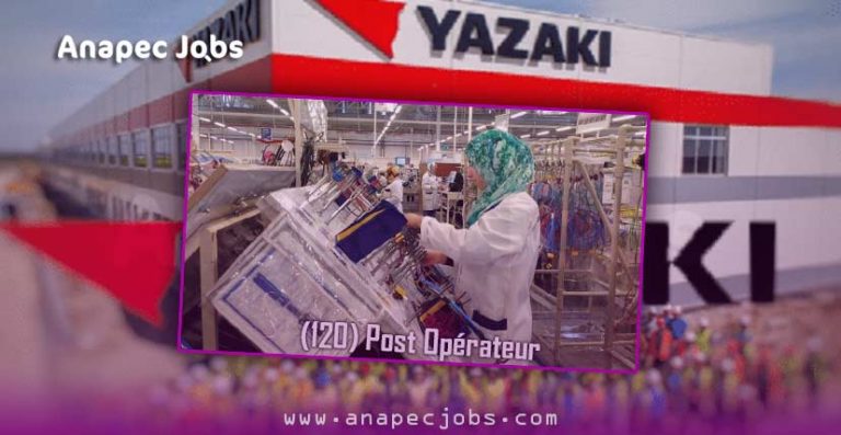 (120)  Opérateur Sur Machines Automatiques De Cablagesur MEKNES-EL MENZEH