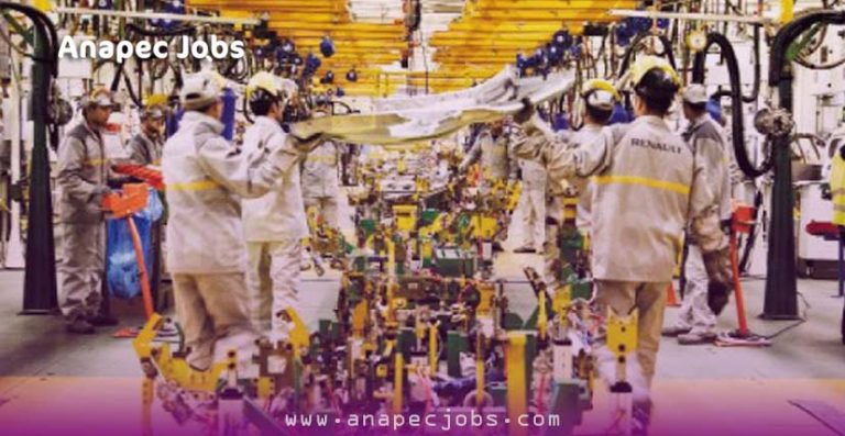 (200) Opérateur De Câblage F/H sur CASA-NOUACER