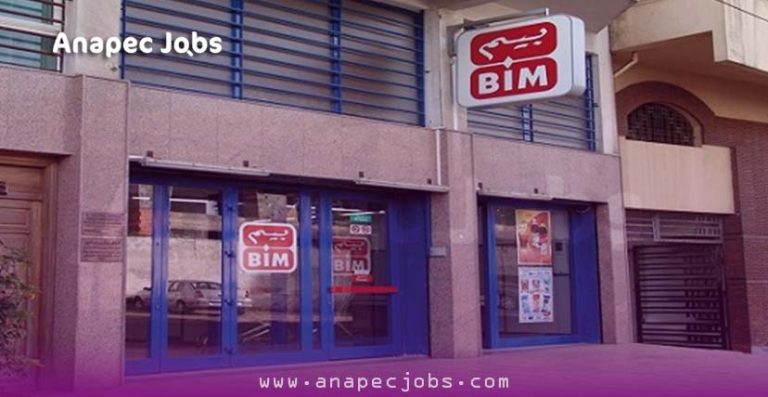 BIM Candidature Spontanée