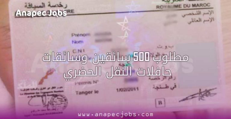 سائقين وسائقات حافلات النقل الحضري 5 مطلوب 500 سائقين وسائقات حافلات النقل الحضري