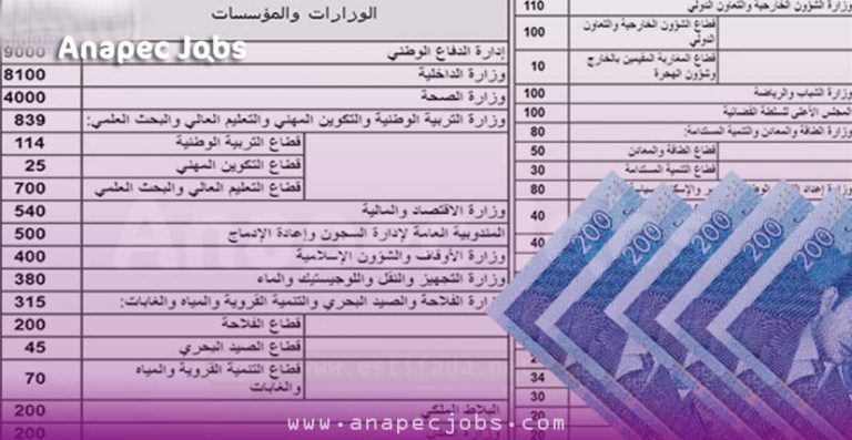 أكبر عملية توظيف بـ “الكونطرا” 25.000 منصب لفائدة الجماعات المحلية ابتداء من شهادة البكالوريا