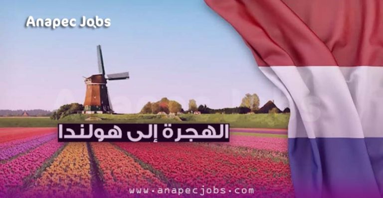 لهجرة الى هولندا 2024