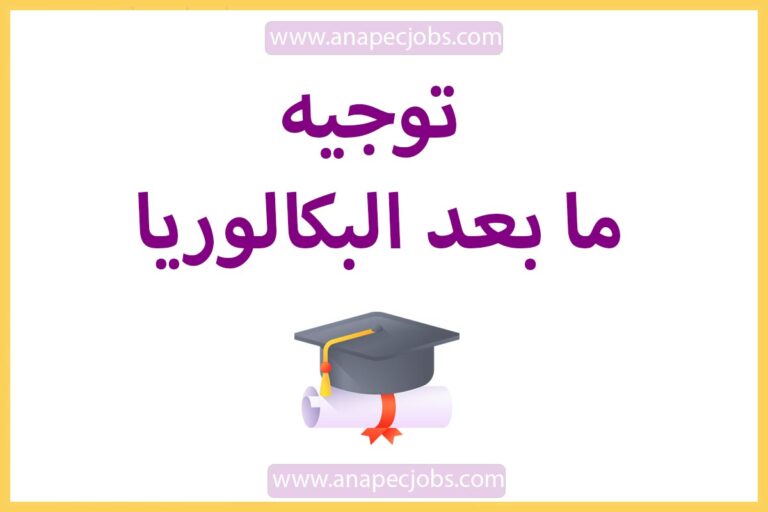 دليل توجيه ما بعد البكالوريا 2022 PDF
