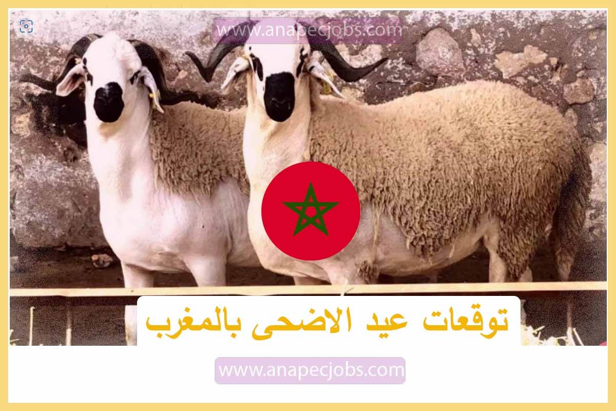 توقعات عيد الاضحى بالمغرب