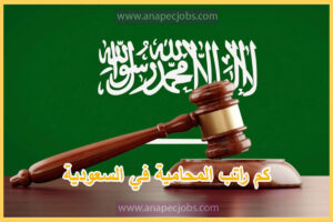 كم راتب المحامية في السعودية