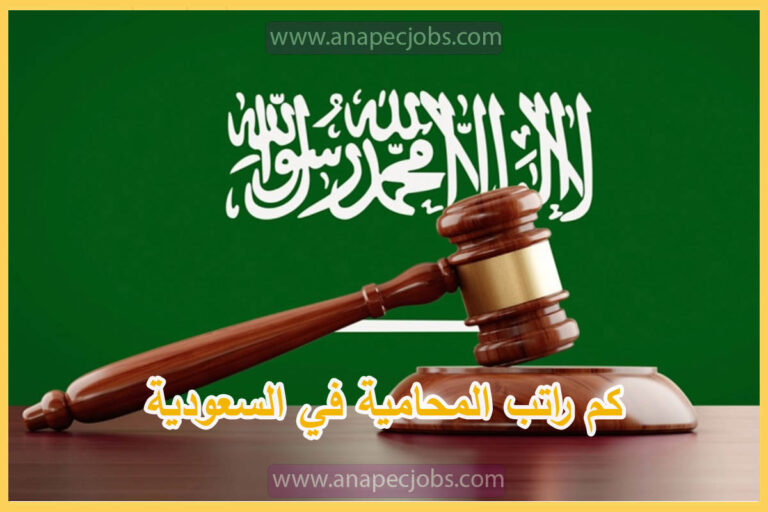 كم راتب المحامية في السعودية