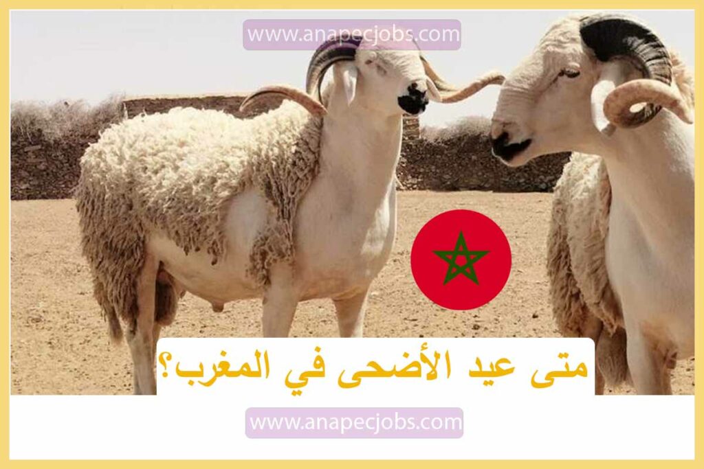 متى عيد الأضحى في المغرب
توقعات عيد الاضحى بالمغرب 2022
