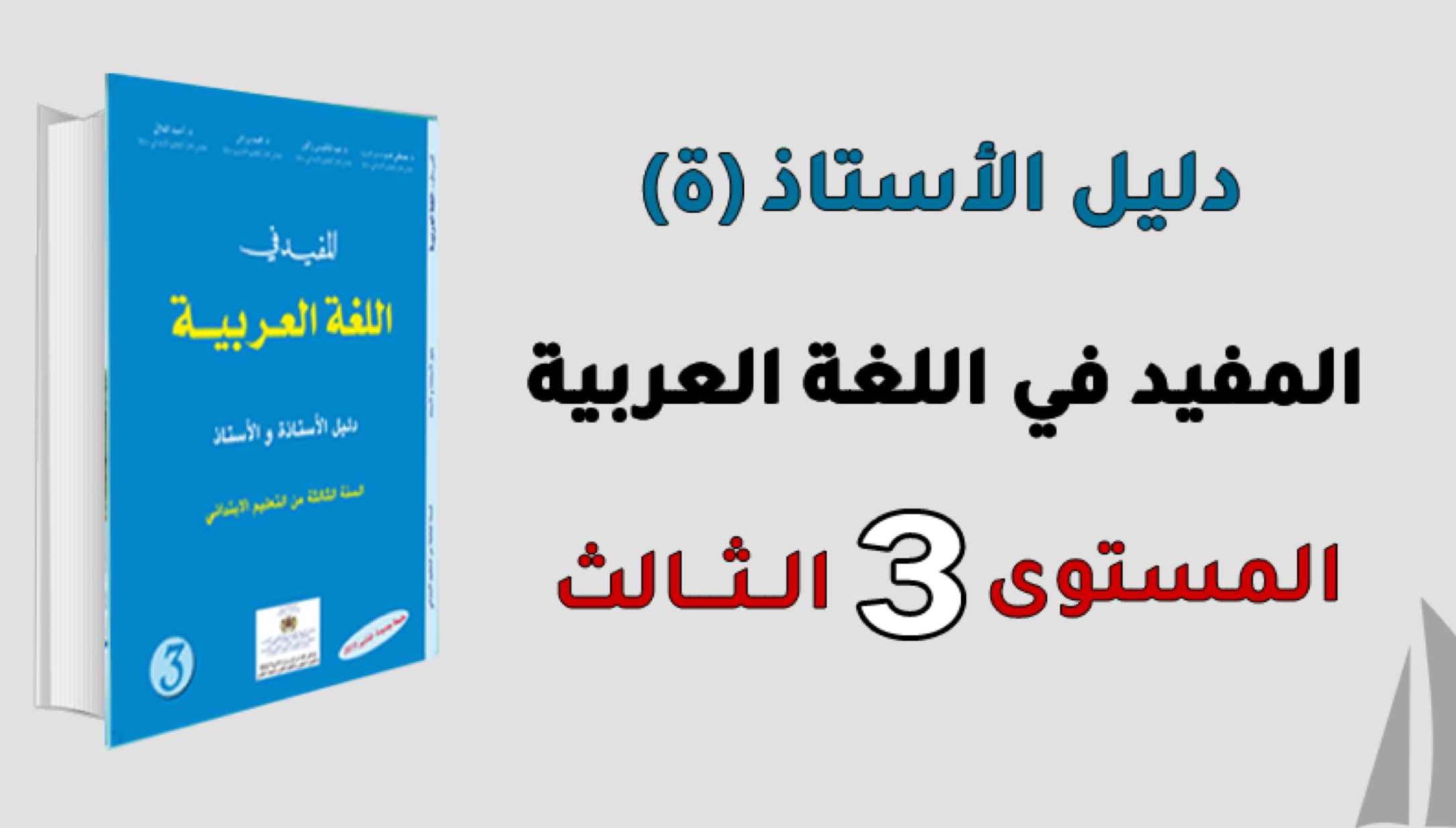 دليل الأستاذ المفيد في اللغة العربية المستوى الثالث