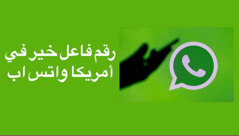 رقم فاعل خير في أمريكا واتس اب