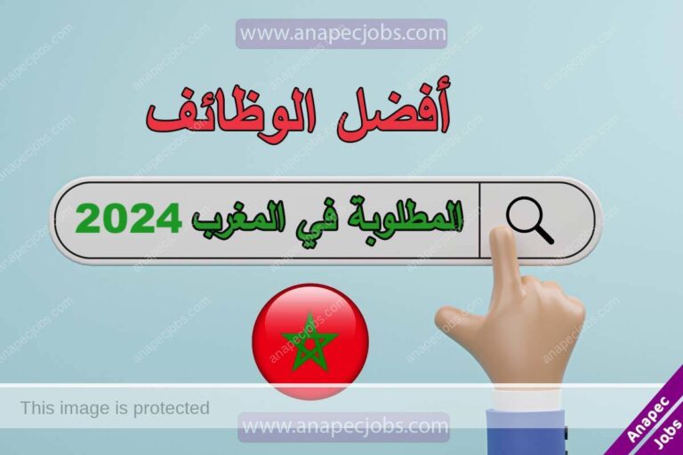 أفضل الوظائف المطلوبة في المغرب 2024