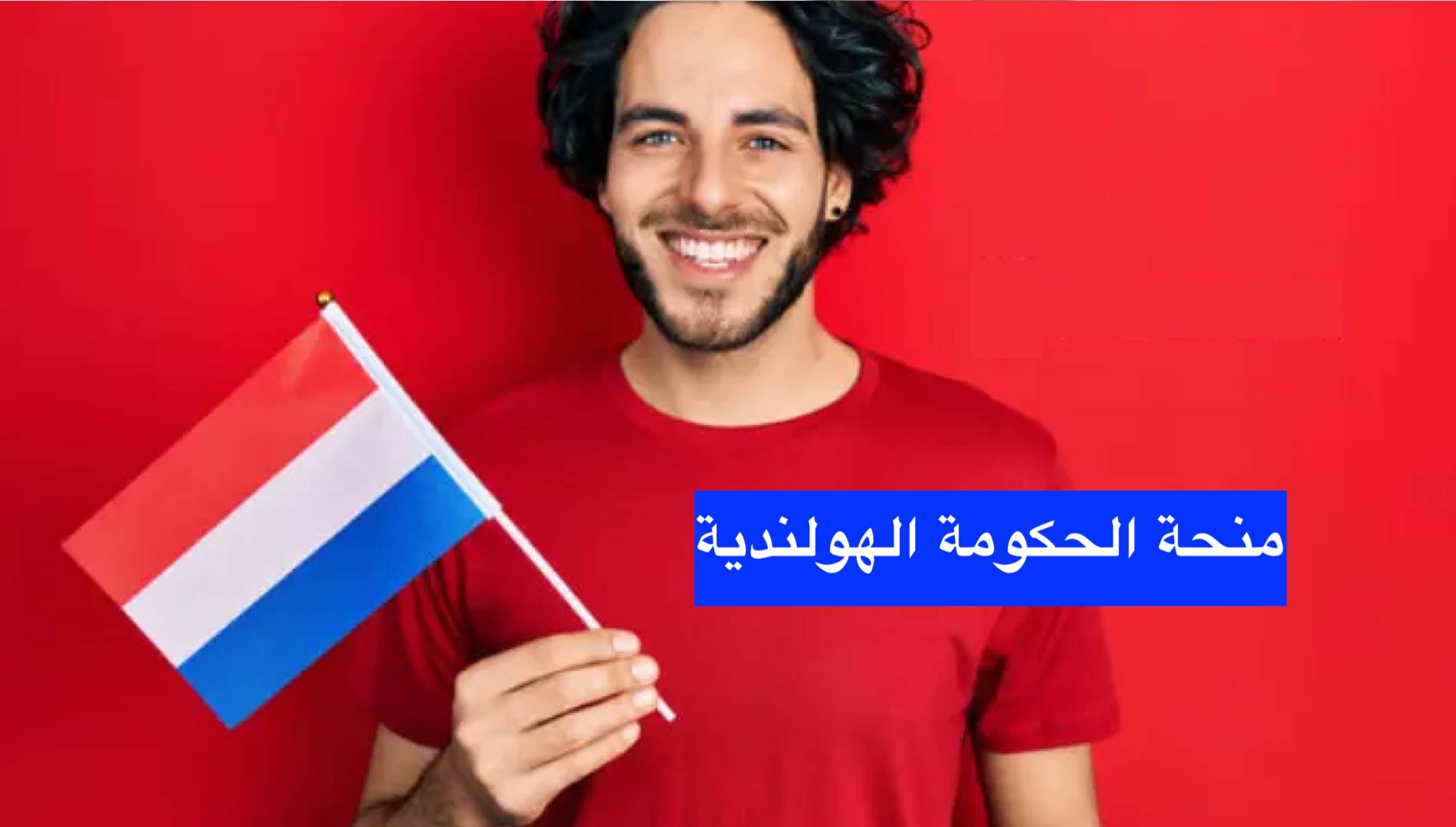 منحة الحكومة الهولندية 2024