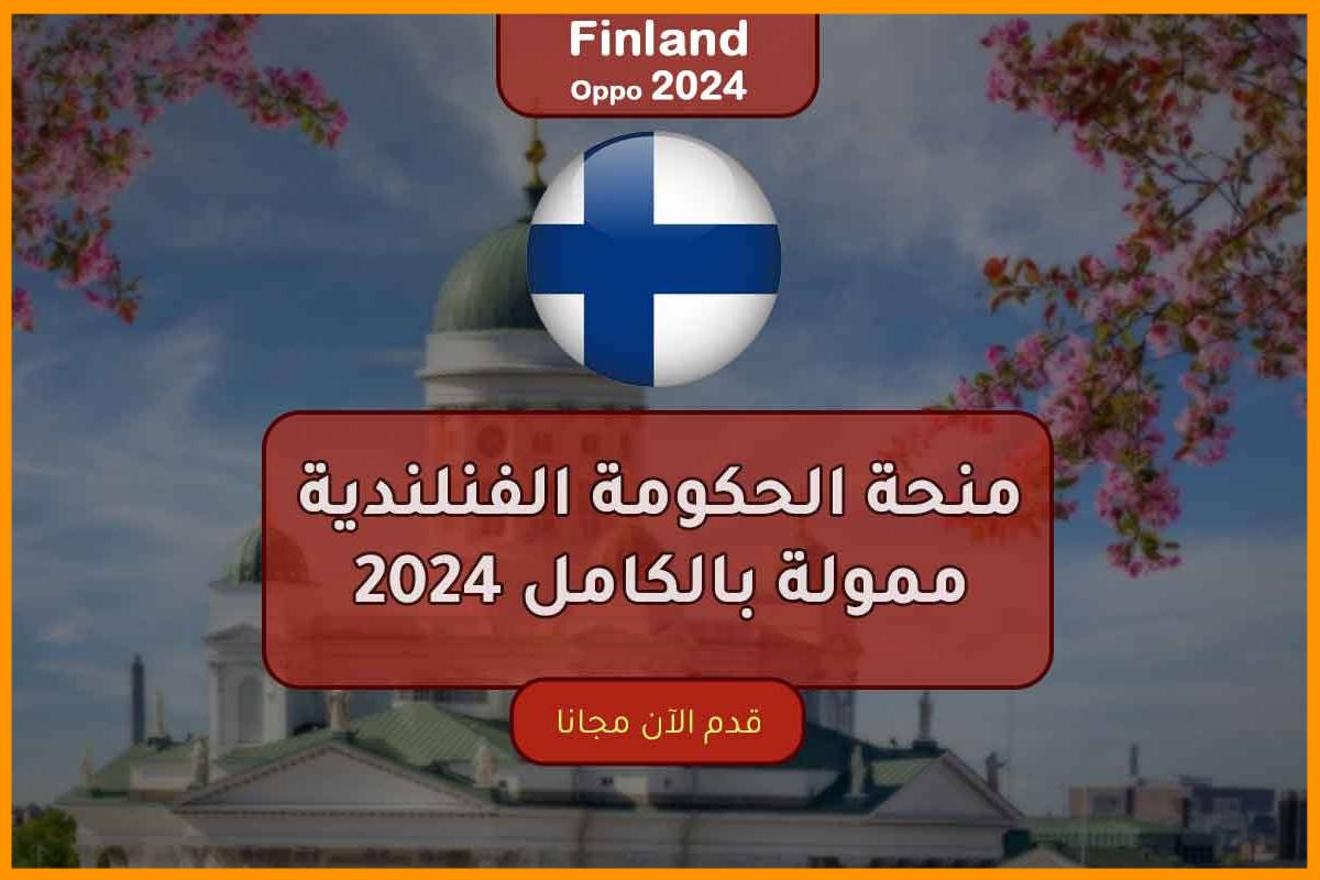 منحة الحكومة الفنلندية