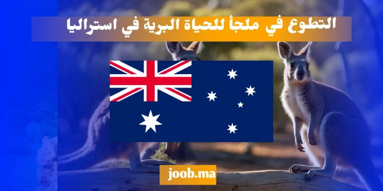التطوع في ملجأ للحياة البرية في استراليا