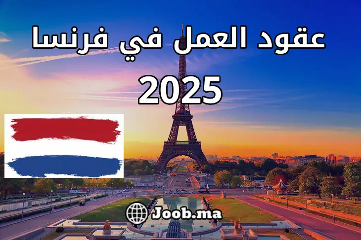 عقود العمل في فرنسا 2025: فرصة فريدة للعمل كمشغل معدات ثقيلة