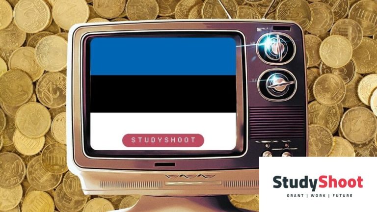 منحة الأكاديمية الإستونية للفنون 2025