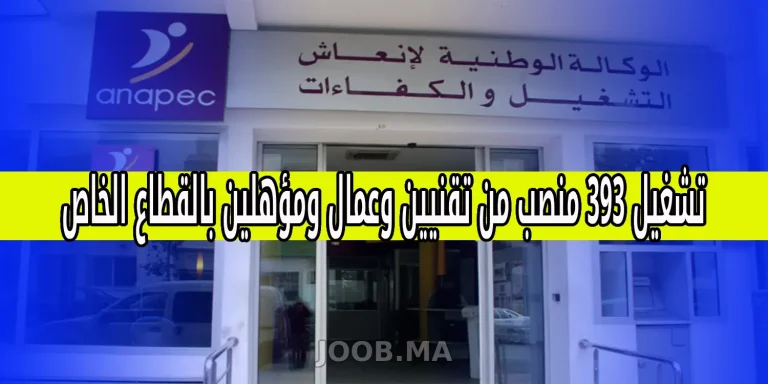 إعلان الوكالة الوطنية لإنعاش التشغيل والكفاءات (ANAPEC) بشأن توفير 393 منصب شغل في القطاع الخاص، يستهدف عدة مجالات وتخصصات