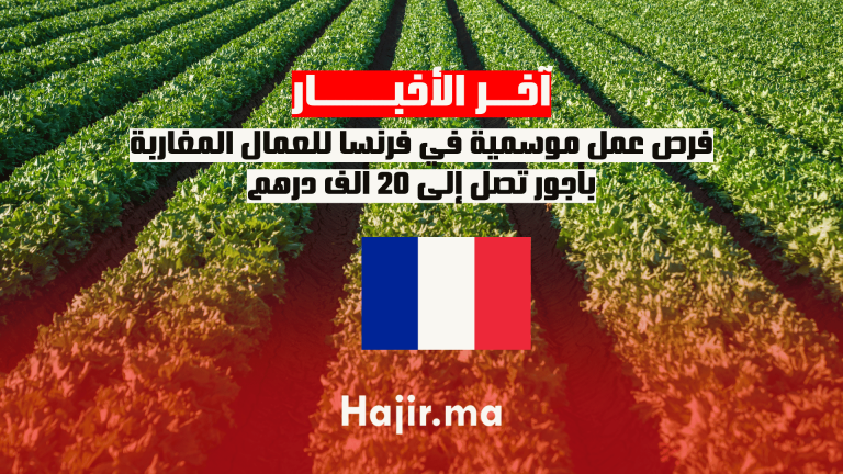فرص عمل موسمية في فرنسا للعمال المغاربة بأجور تصل إلى 20 ألف درهم.