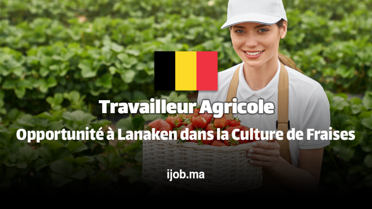 Travailleur Agricole – Poste à Lanaken avec des Tâches Variées dans la Culture de Fraises