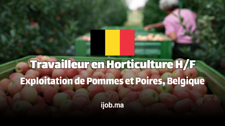 Travailleur en Horticulture H/F – Exploitation de Pommes et Poires à Dentergem, Belgique