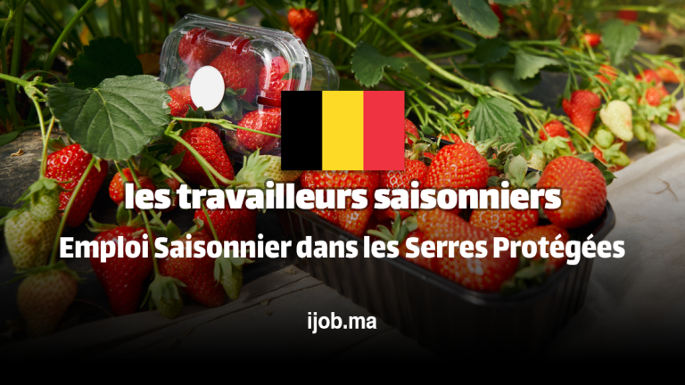 Travailleur en Horticulture H/F – Poste Saisonnier pour la Récolte de Fruits Rouges à Meer, Belgique