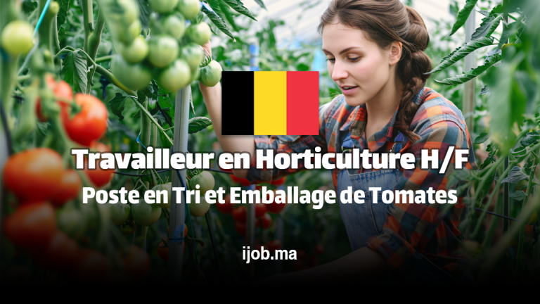 Travailleur en Horticulture H/F – Poste en Tri et Emballage de Tomates à Rijkevorsel, Belgique