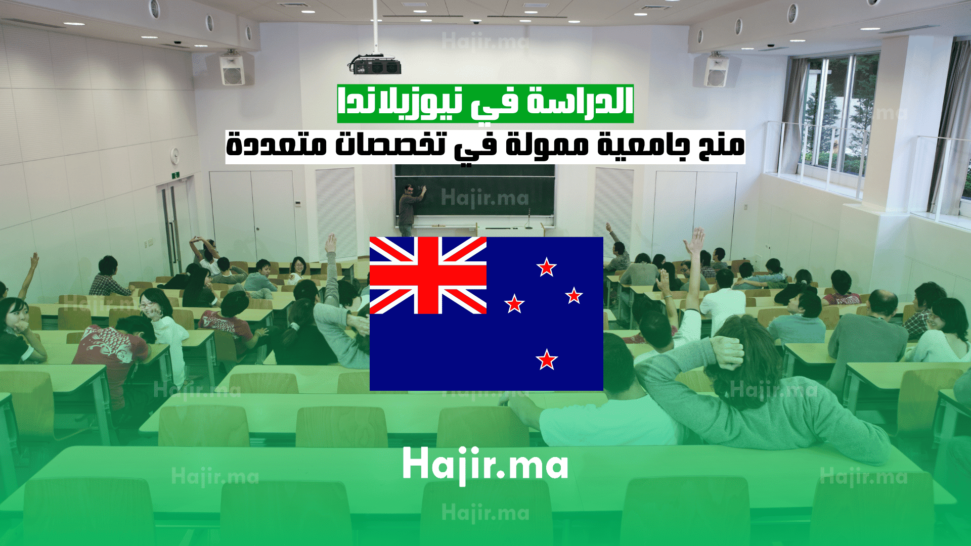 الدراسة في نيوزيلاندا منح جامعية ممولة في تخصصات متعددة