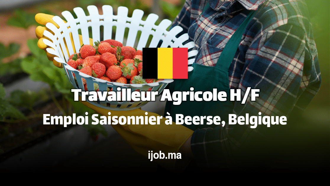 Travailleur Agricole H/F – Emploi Saisonnier à Beerse, Belgique