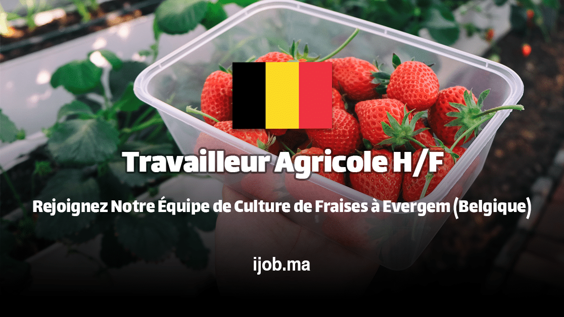 Travailleur Agricole H/F – Rejoignez Notre Équipe de Culture de Fraises à Evergem (Belgique)