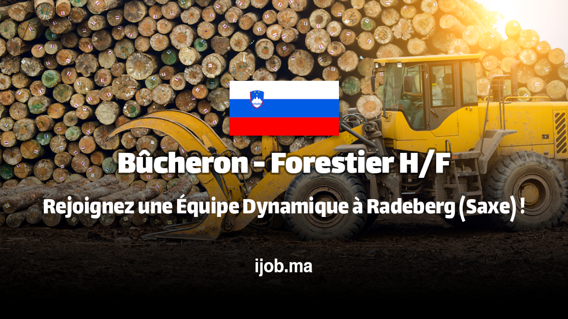 Bûcheron – Forestier H/F – Rejoignez GOZDARSTVO DOMEN LIČEN à Ajdovščina (Slovénie) !