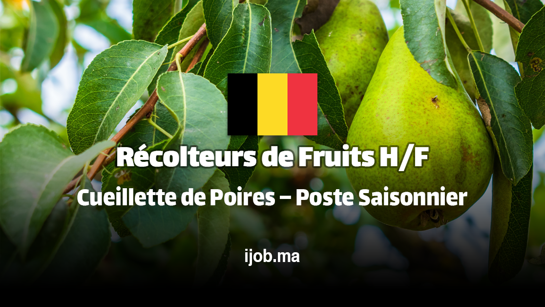 Récolteurs de Fruits H/F – Rejoignez une Exploitation Agricole à Beveren-Kruibeke-Zwijndrecht (Belgique) !
