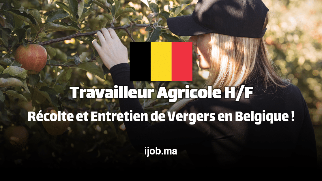 Travailleur Agricole H/F – Récolte et Entretien de Vergers en Belgique !