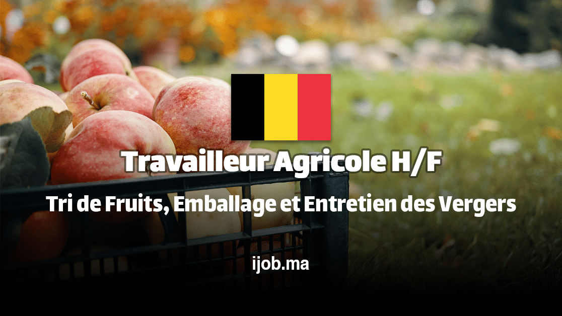 Travailleur Agricole H/F – Rejoignez TIMCO FRUIT NV à Hasselt, Belgique !