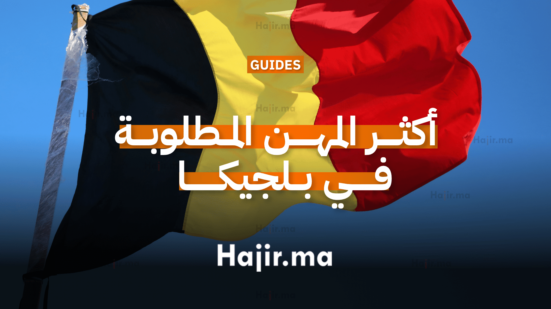أكثر المهن المطلوبة في بلجيكا