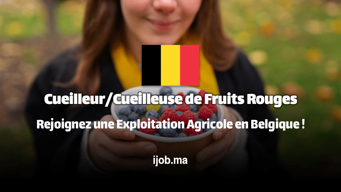 Cueilleur/Cueilleuse de Fruits Rouges – Rejoignez une Exploitation Agricole en Belgique !