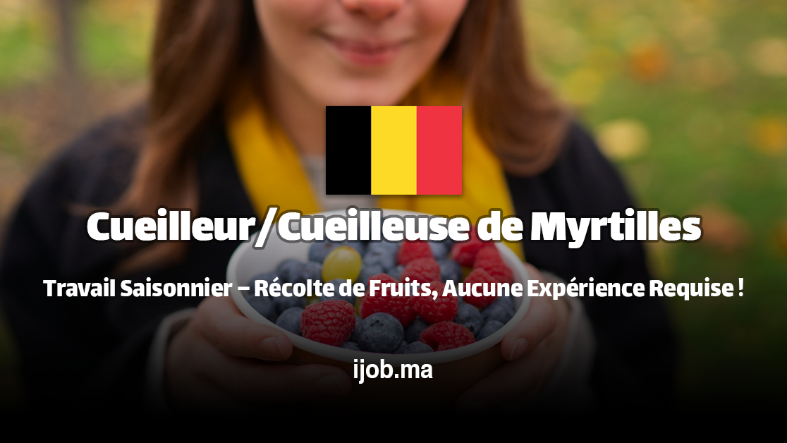 Cueilleur/Cueilleuse de Myrtilles – Rejoignez VENHOF BV en Belgique !