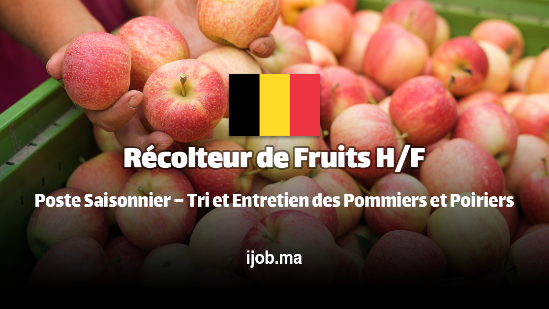 Récolteur de Fruits H/F – Rejoignez une Exploitation Agricole en Belgique !
