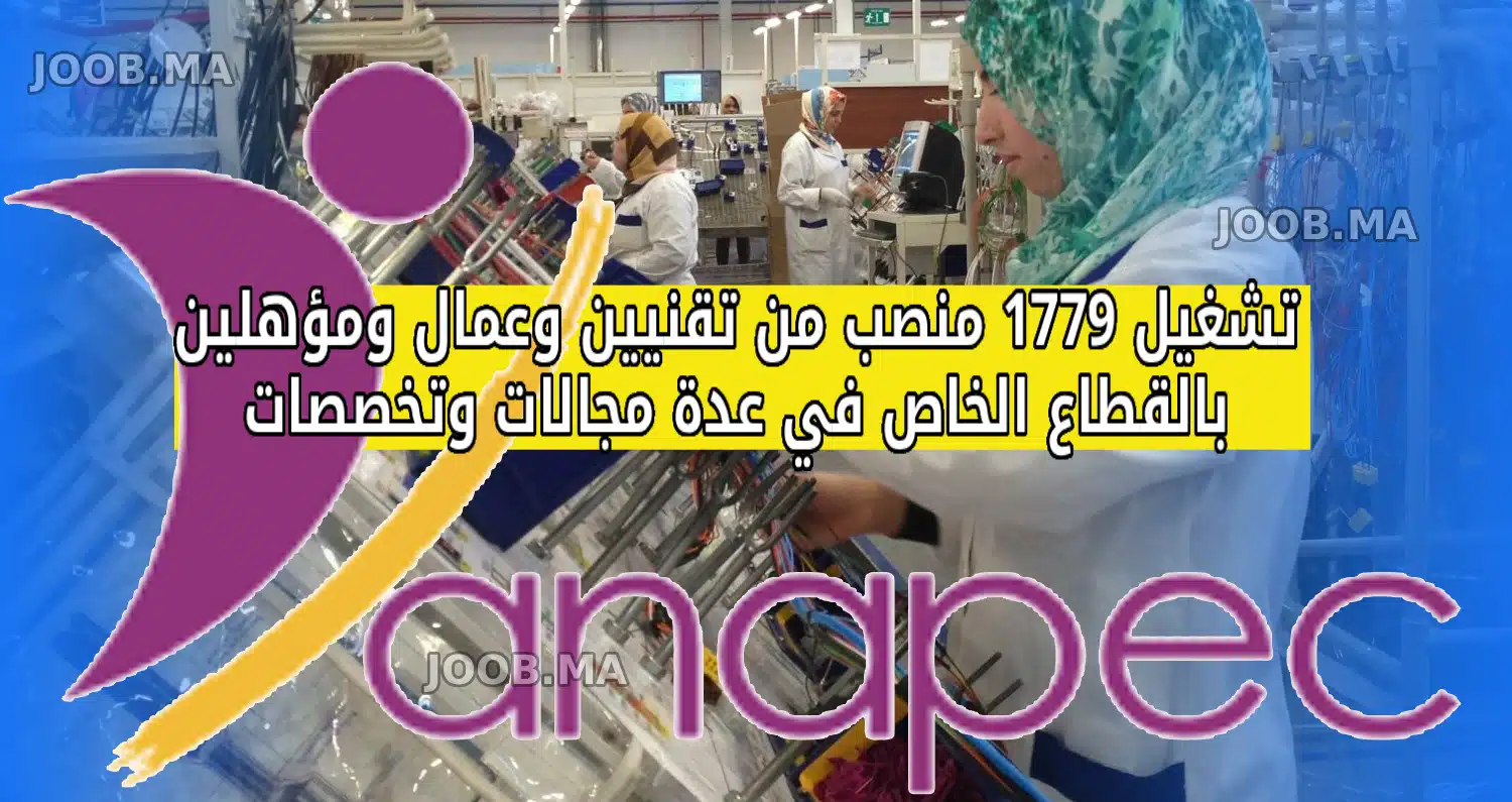 تشغيل 1779 منصب من تقنيين وعمال ومؤهلين بالقطاع الخاص في عدة مجالات وتخصصات وبعدة مدن من طرف الوكالة الوطنية لإنعاش التشغيل والكفاءات ANAPEC