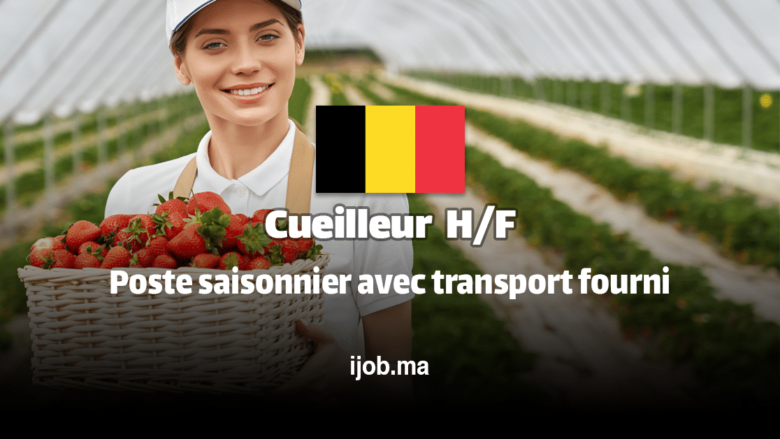 Cueilleur – Rejoignez une exploitation fruitière à Borgloon (Belgique)