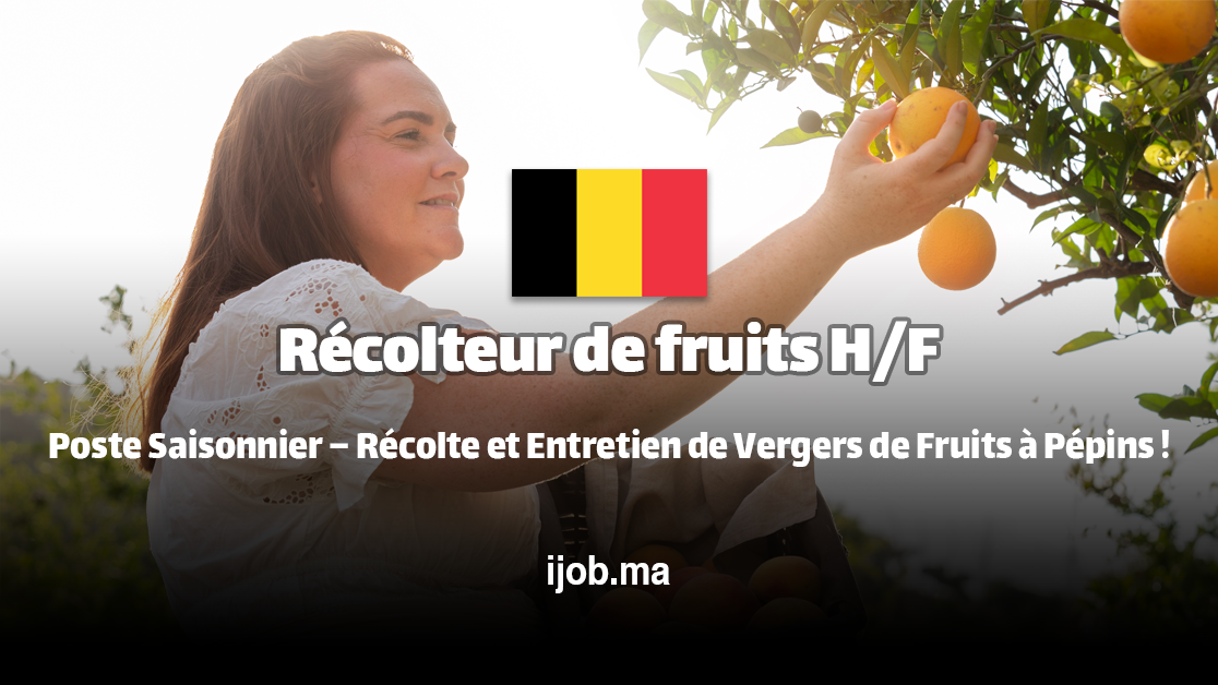 Récolteur de fruits H/F – Rejoignez une Exploitation Fruitière à Sint-Gillis-Waas !