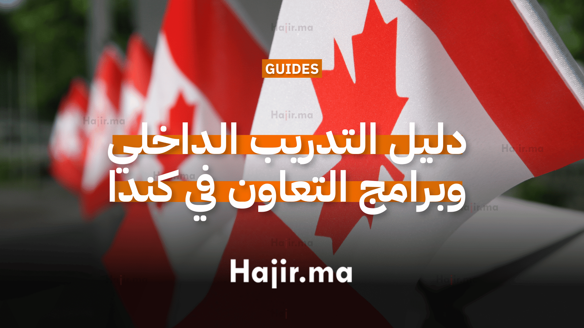 دليل التدريب الداخلي وبرامج التعاون في كندا للطلاب الدوليين