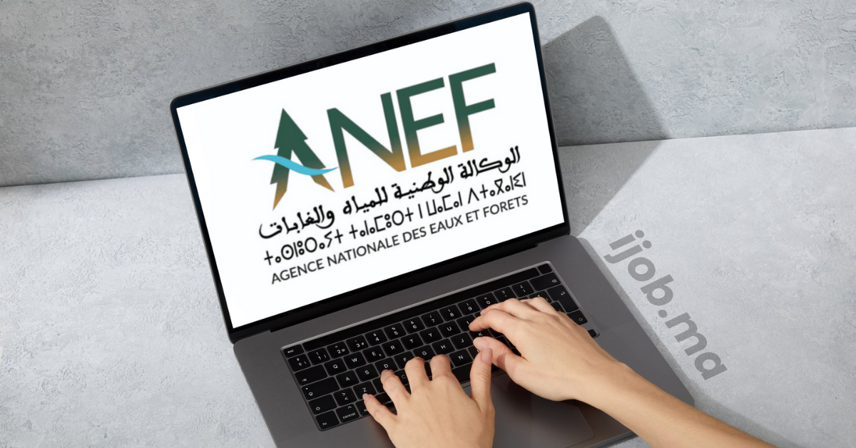 Concours de Recrutement ANEF 2025 (88 Postes)