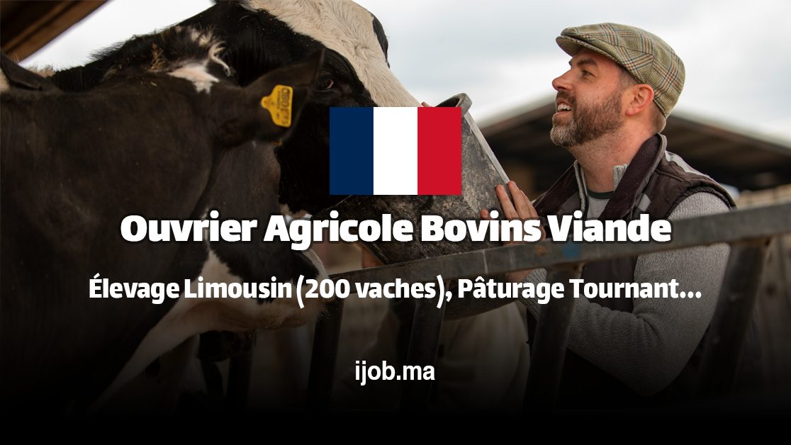 Ouvrier Agricole Bovins Viande H/F – EARL Philippe en Charente ! 1 Ouvrier Agricole Bovins Viande H/F – EARL Philippe en Charente !