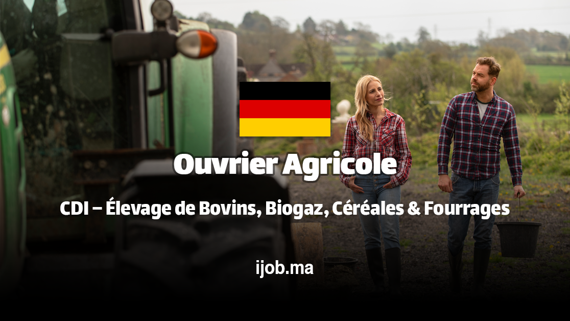 Ouvrier Agricole H/F – Holsten Service GbR à Heeslingen (Allemagne) ! 18 Ouvrier Agricole H/F – Holsten Service GbR à Heeslingen (Allemagne) !
