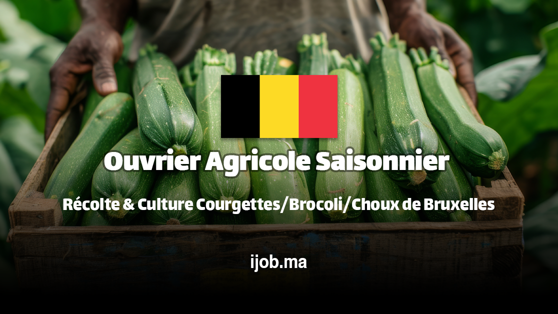 Ouvrier Agricole Saisonnier H/F – L & K NV à Houthulst (Belgique) !