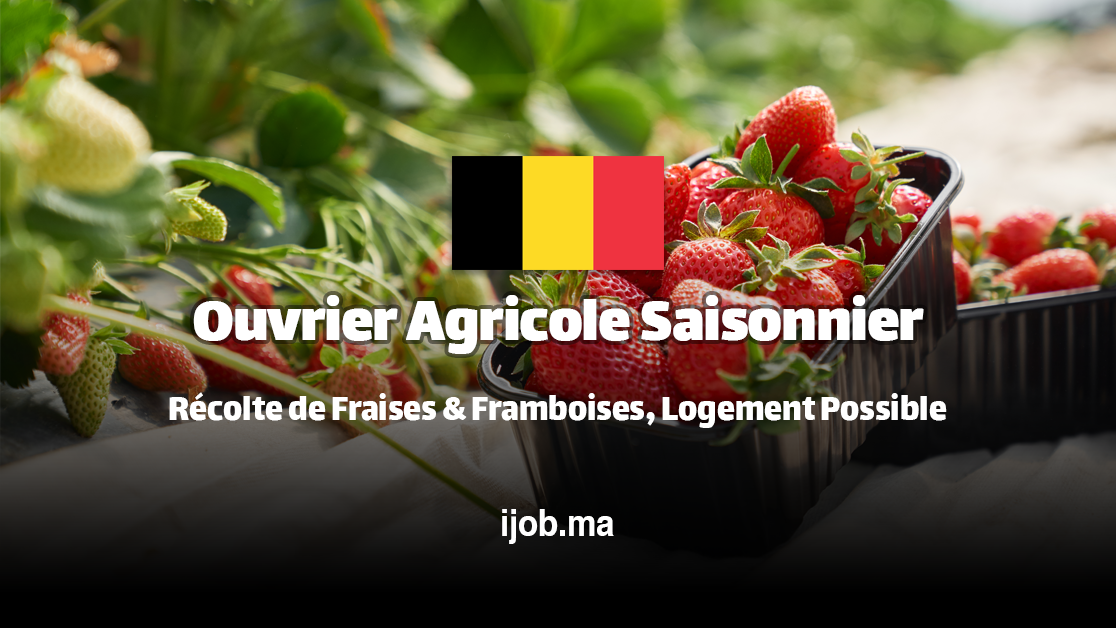 Ouvrier Agricole Saisonnier H/F – Royakkers Plants BV à Kinrooi (Belgique) !