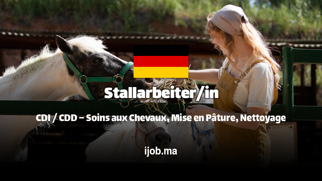 Stallarbeiter/in H/F – Noble Casper zu Stroh GmbH à Beuren (Hochwald, Allemagne) !