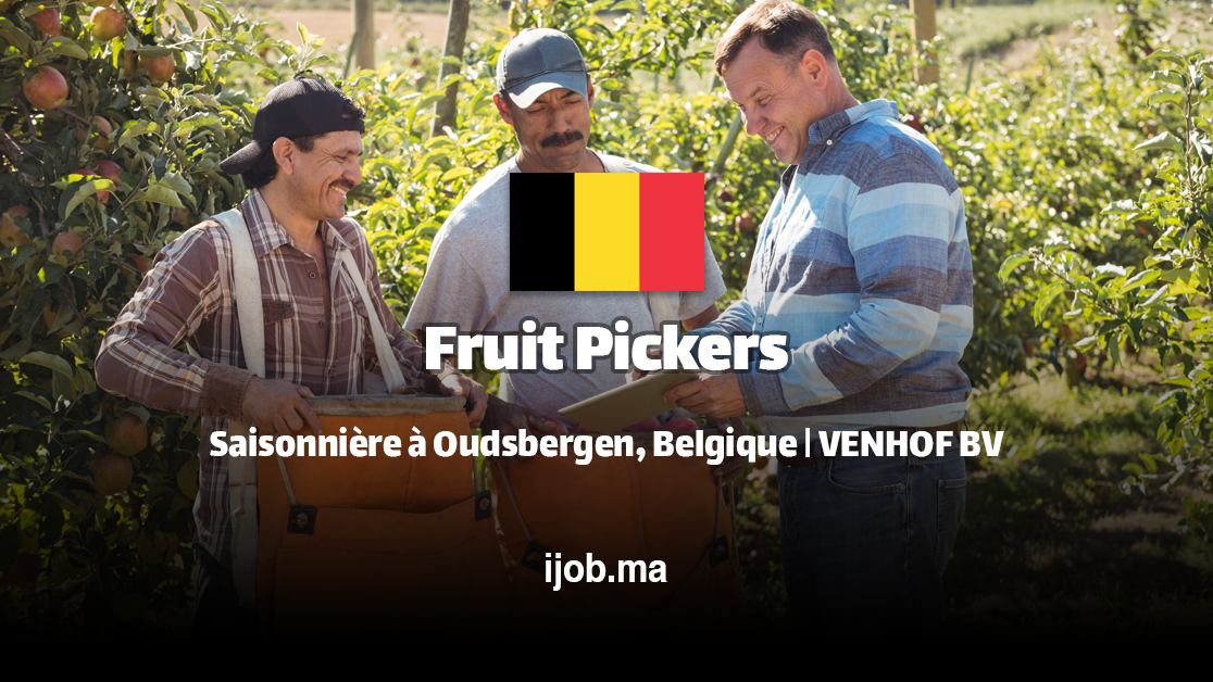 Cueilleur de Fruits - Saisonnière à Oudsbergen, Belgique