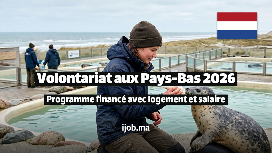 Programme financé avec logement et salaire