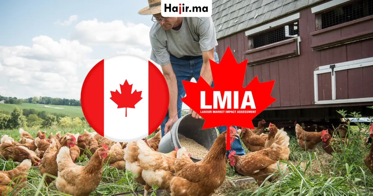 عروض شغل رسمية في كندا بتأشيرة عمل وتأمين صحي شامل للموسم الفلاحي