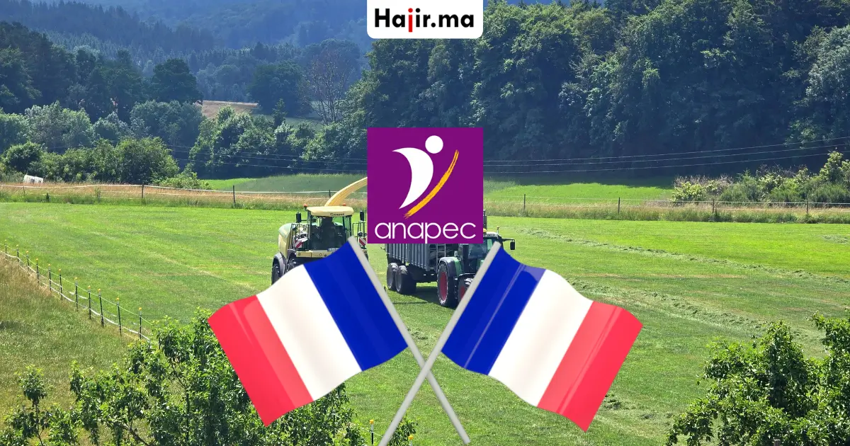 عقد عمل في فرنسا عبر الأنابيك ANAPEC لعمال الغابات براتب 1800 يورو شهرياً